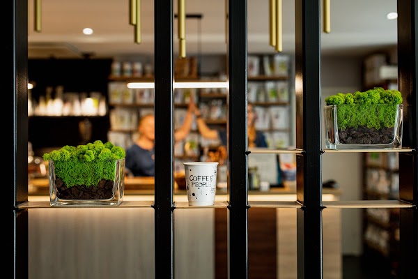 Kadriorg Cafe