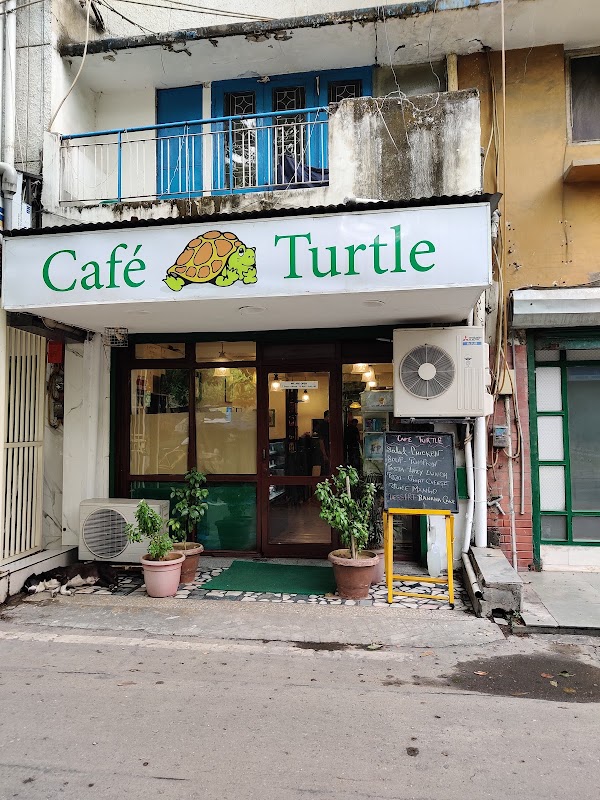 Cafe Turtle